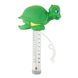 Термометр іграшка Kokido K785BU/6P Черепаха, уцінка 12222 фото 1